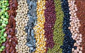 Tendance du marché mondial des graines transgéniques