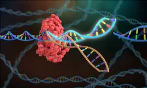 Globale Gènes CRISPR et associés à CRISPR (Cas) Le volume